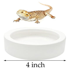 Reptile Food Bowl Ceramic Water Feeder Bowls
