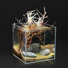 Taichi Stone Natural Rocks for Aquascape Tank Decoration Landscaping 1kg