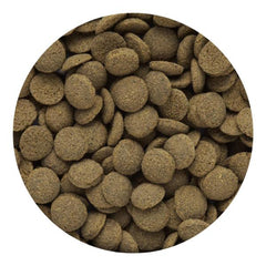 Hikari Sinking Wafer Fish Food