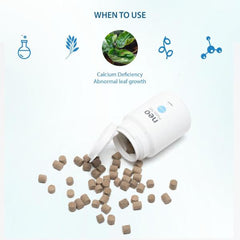 Aquario Neo Root Tab- ST.LONG
