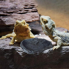 Resin Reptile Food Bowls, Reptile Rock Feeder Dish, Amphibian Water and Food Bowls with Feeding Tweezers Tong for Leopard Gecko Lizard Frog Snake Chameleon Tortoise