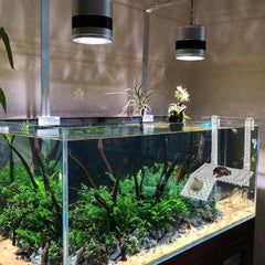 Acrylic Hanging Turtle Ladder (Medium & Large)