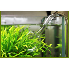 13mm Plant Aquarium Glass Poppy Pipe Outflow and Lily Pipe Inflow for 12/16mm Hose Canister Filter
