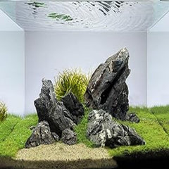 Seiryu Aqua Scaping Stone 1kg