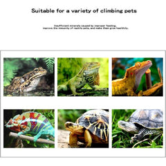 Nomoy Biological Mineral Block