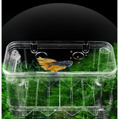 Aquarium Multi-Functional Isolation Breeding Incubator Box 19x9x14cm