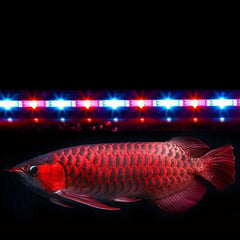 LED Aquarium Fully Submersible Tube Light 9 Sizes