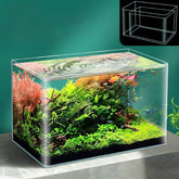 High Quality (30 to 60cm) Crystal Clear Glass Curved R Corner Fish Tank