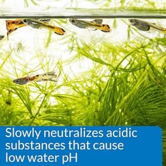 API PH Up Aquarium PH Adjuster, 4-OZ
