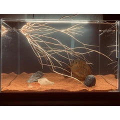 Premium Aquarium Sand Red 1 KG