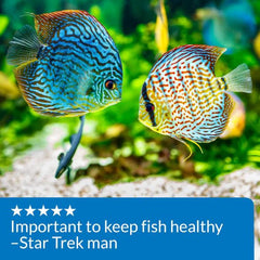 API PH Up Aquarium PH Adjuster, 4-OZ