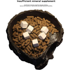 Nomoy Biological Mineral Block