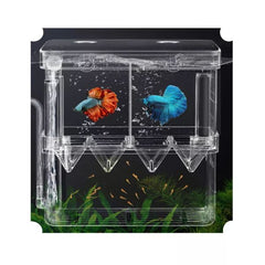 Aquarium Multi-Functional Isolation Breeding Incubator Box 19x9x14cm