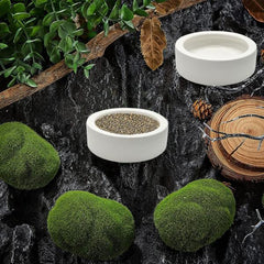 Reptile Food Bowl Ceramic Water Feeder Bowls