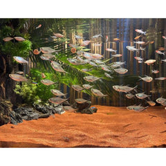 Premium Aquarium Sand Red 1 KG