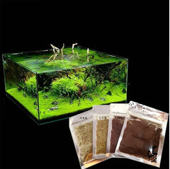 B&K Aquatic Plant Seeds 4 Types x 1000 pcs