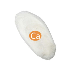 Reptile Health Release Mineral Cuttlefish Bone for Aquatic Turtle Bird Feed Cuttlebone Block Calcium Supplement