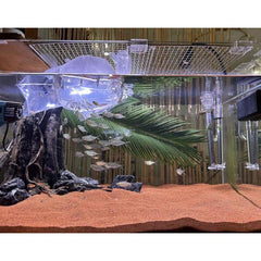 Premium Aquarium Sand Red 1 KG