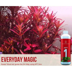 2HR AQUARIST - Apt Zero