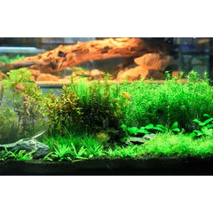 Aquarium Amazon Soil 3L and 9L