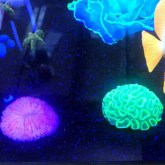 Artificial Swimming Luminous Glowing Effect Coral Decoration 4 Colors