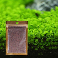 Aquarium Plant Seeds Landscape Decoration 600pcs