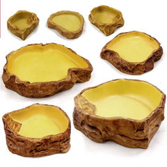Reptile Water Bowl Terrarium Water Dish Food Feeding for Amphibian