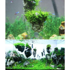 Moss Line Aquarium Landscape DIY Fern String Wire Tie Transparent Nylon