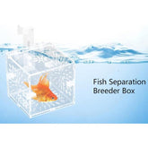 B&K Acrylic Transparent Fish Tank Breeding Isolation Box (2 Sizes)