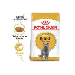 Feline Breed British Shorthair Adult Nutrition Cat Dry Food Multicolour 4kg