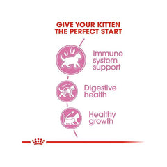 Dry Food For Second Age Kitten 4kg