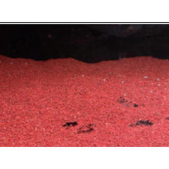 Red Cherry Sand 40 mesh - 1kg