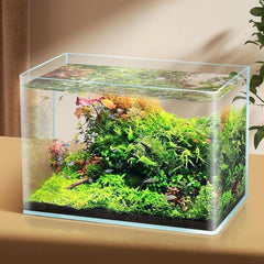 High Quality (30 to 60cm) Crystal Clear Glass Curved R Corner Fish Tank