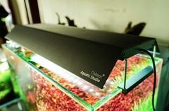 CHIHIROS WRGB II SHADES