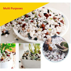 Colorful Special Stone Aquarium Micro-Landscape