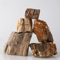 Natural Gemstone Petrification Tree Stone Fish Tank Landscaping Aquarium Decoration