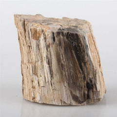 Natural Gemstone Petrification Tree Stone Fish Tank Landscaping Aquarium Decoration