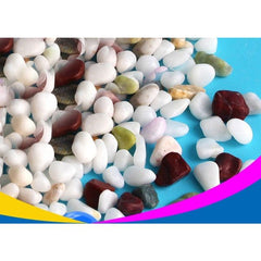 Colorful Special Stone Aquarium Micro-Landscape