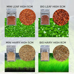 B&K Aquatic Plant Seeds 4 Types x 1000 pcs