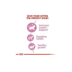 Royal Canin B&K Feline Health Nutrition Kitten 4kg