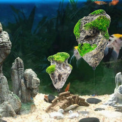 Floating Rock Decor (3 Sizes)