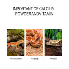 Reptizoo Calcium Powder with D3 and without D3 Provide Nutrients