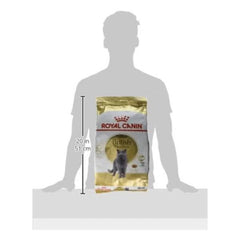 Royal Canin B&K Feline Breed Nutrition Persian Adult 4Kg Cat Dry Food