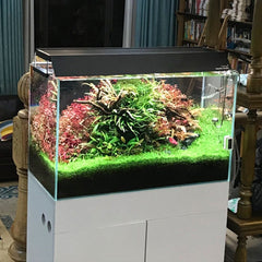 CHIHIROS WRGB II SHADES