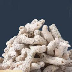 CORAL 500g with bag and box