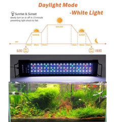 Programmable LED Full Spectrum Light WRGB BK 957