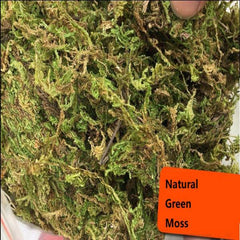Natural Reptile Terrarium Moss, Substrate Turtle Tank Terrarium Moss - Green, 1000G/500G