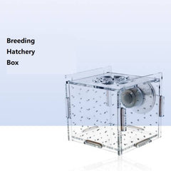 Transparent Fish Breeding Box-Isolation (3 Sizes)