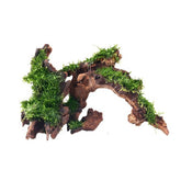 Large Driftwood for Aquarium Decorations Natural Assorted Branches Bearded Dragon Tank Accessories Terrarium Décor