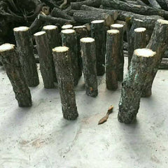 Aquarium Decoration Betta Log Champagne Tree Trunk Decor Stone Base